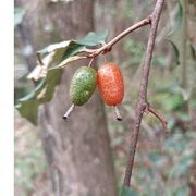 手机用户23059479