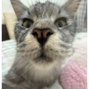 享受身边的人与事
