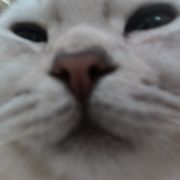 有本事就