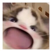 不知名的人