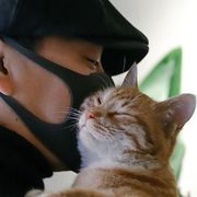 黄沙吃蛋挞