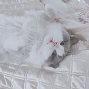 阿璃