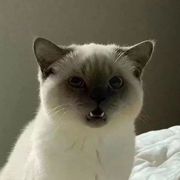 时