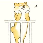 对弈