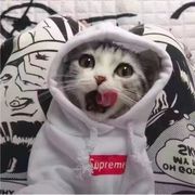 未雨听、