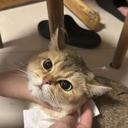 粉红啵小妹