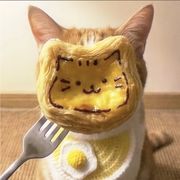 青绦扶风