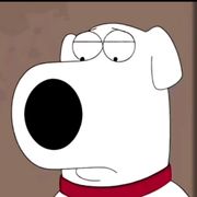 →_→