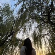 手机用户37392770