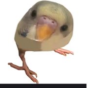 浪漫想死心都有