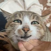 瑞兹
