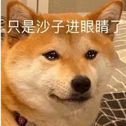 但使龙城飞将在