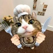 猫大厨