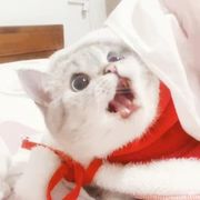 老韩