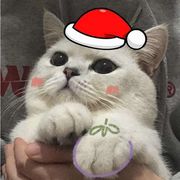 专拆各种情侣