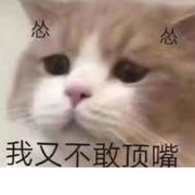 冷月葬花魂