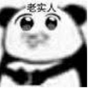 User449418923