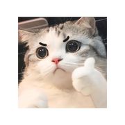 倦梦还