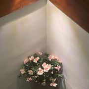 这锅我来洗