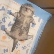 那种事情都无所谓吧