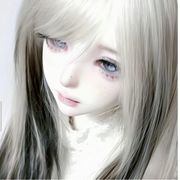 Aecdia