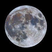 还是变成社畜了