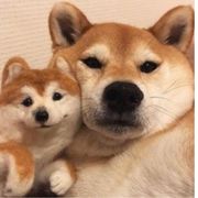 陌言