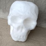 左手辣条右手酒