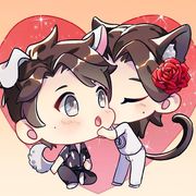 猫猫阿姨