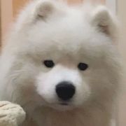 天外来物
