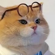 搞笑我是认真的