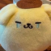 洲遊