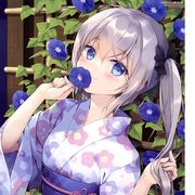 不是枫夏，是桂！！