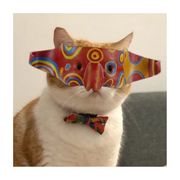 鲜衣怒马少年郎