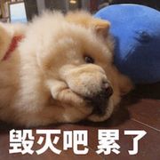 宁可苦涩