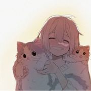 你家猫出门散步被我捡了