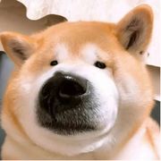 她与游戏皆不能忘