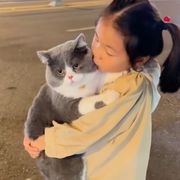 烧鸭