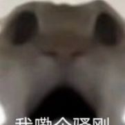 一只贪吃鼠（上学坐牢中）