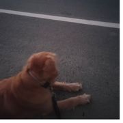 鱼鱼鱼鱼鱼