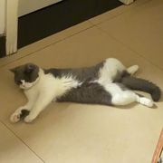 风