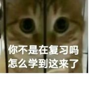 齐静春一肩挑之