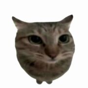 哇