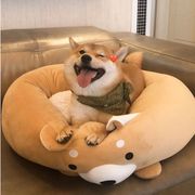 江守