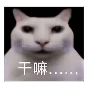 独寂