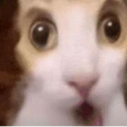 叽里咕噜小胡桃