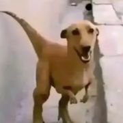 TTTTTTTTTTT