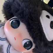 兰利完全主人来的
