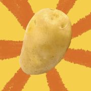 油炸普忒头🥔