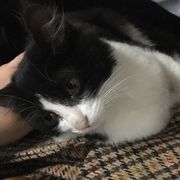 塔塔不冲啦